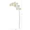 44" Phalaenopsis Orchid Artificial Flower (Set of 6)